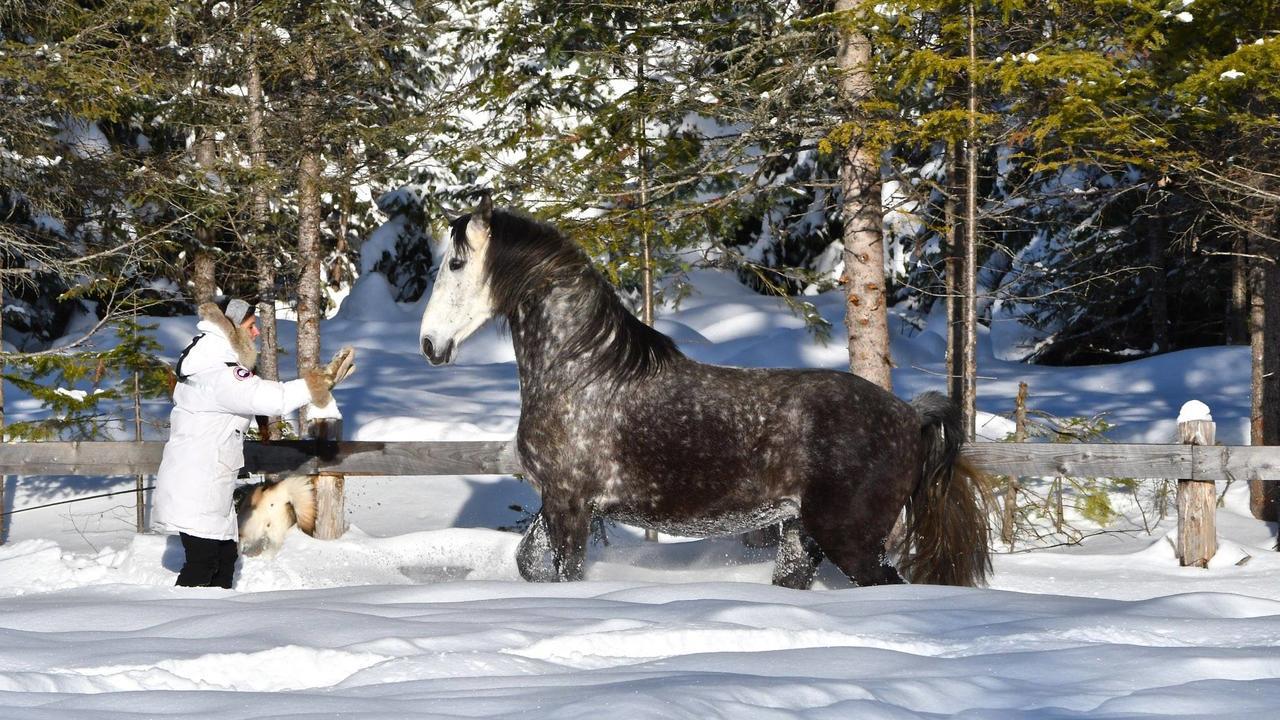 Willa Le Ti Moose La Malbaie Zewnętrze zdjęcie