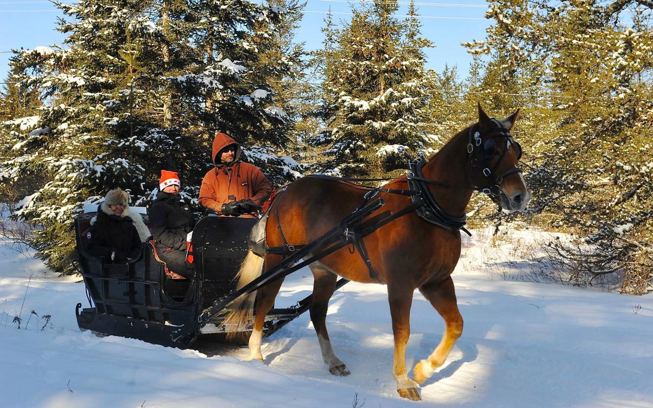 Willa Le Ti Moose La Malbaie Zewnętrze zdjęcie